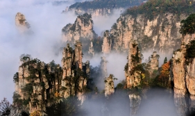 百看不厌天子山