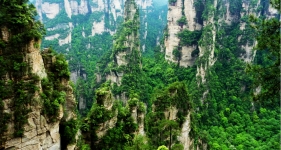 中国第一个国家森林公园，是“缩小的仙境，扩大的盆景”